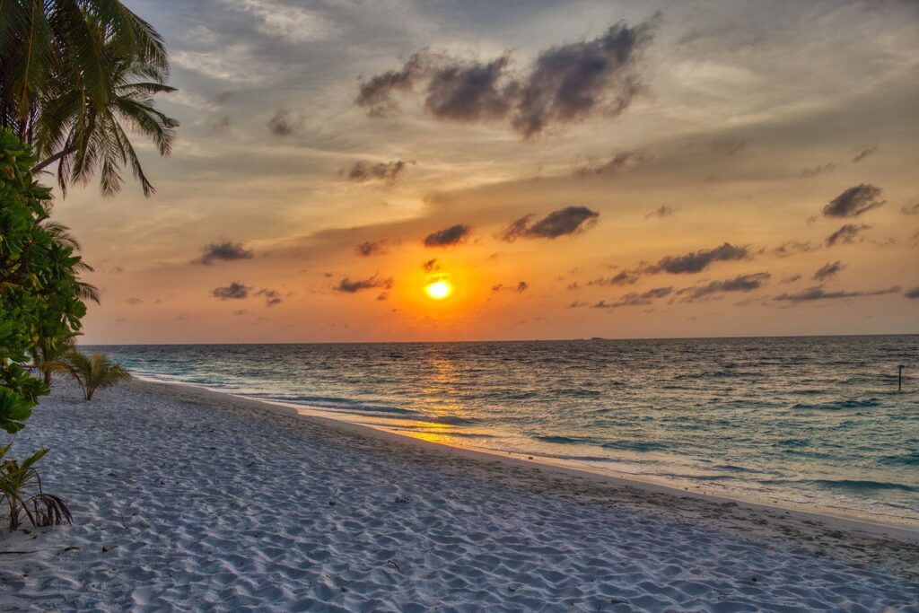 yellow sky, nature, sunrise